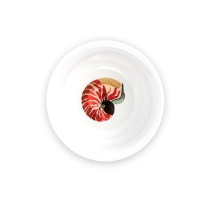  Promosyonlu Kırılmaz Tabak Takımı,Underwater, 4 Kişilik