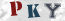 Güvenlik Resmi